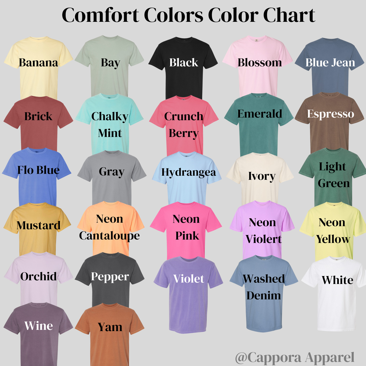 Booktrovert Embroidered Comfort Colors T-Shirt | Funny Introvert Book Lover Graphic Tee | Aesthetic Reading Shirt