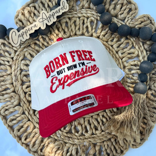 Born Free But Now I’m Expensive Hat | 3D Puff Embroidered Trucker Hat | Funny Patriotic Hat | Fourth of July Cap | USA America Hat
